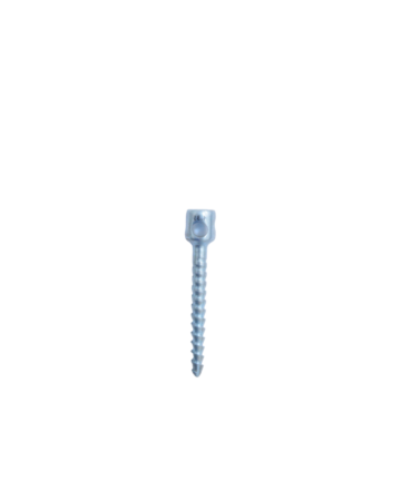 Infantile Pedicule Closed Screw