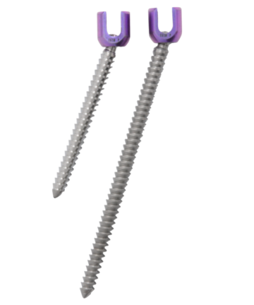 Illiac Screw