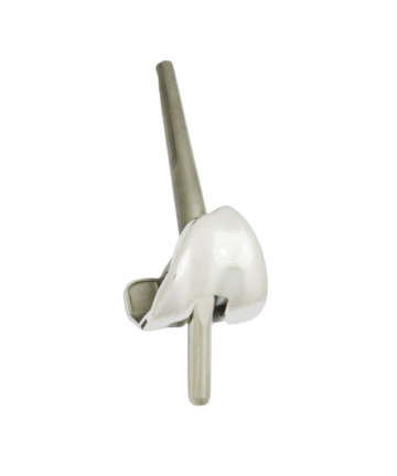 Hinged Knee Femoral Condyle