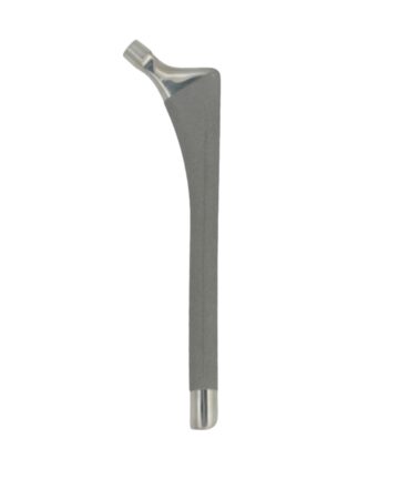Cementless Long Stem