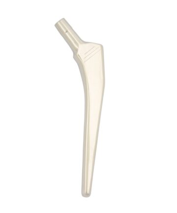 Cemented Stem SS