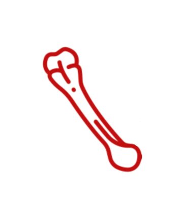 Tibia & Fibula